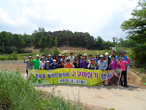 기사이미지