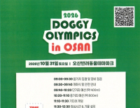 헤드라인 기사 이미지